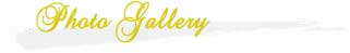 Photo Gallery
